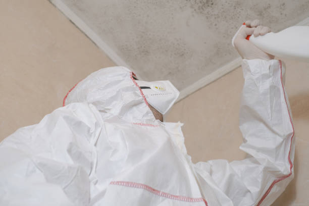 Best Mold Testing  in Las Vegas, NM
